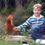 Leo with chook3